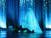 IMG 8870  Spider Dance "Lullaby" Foto by LuxLightArt